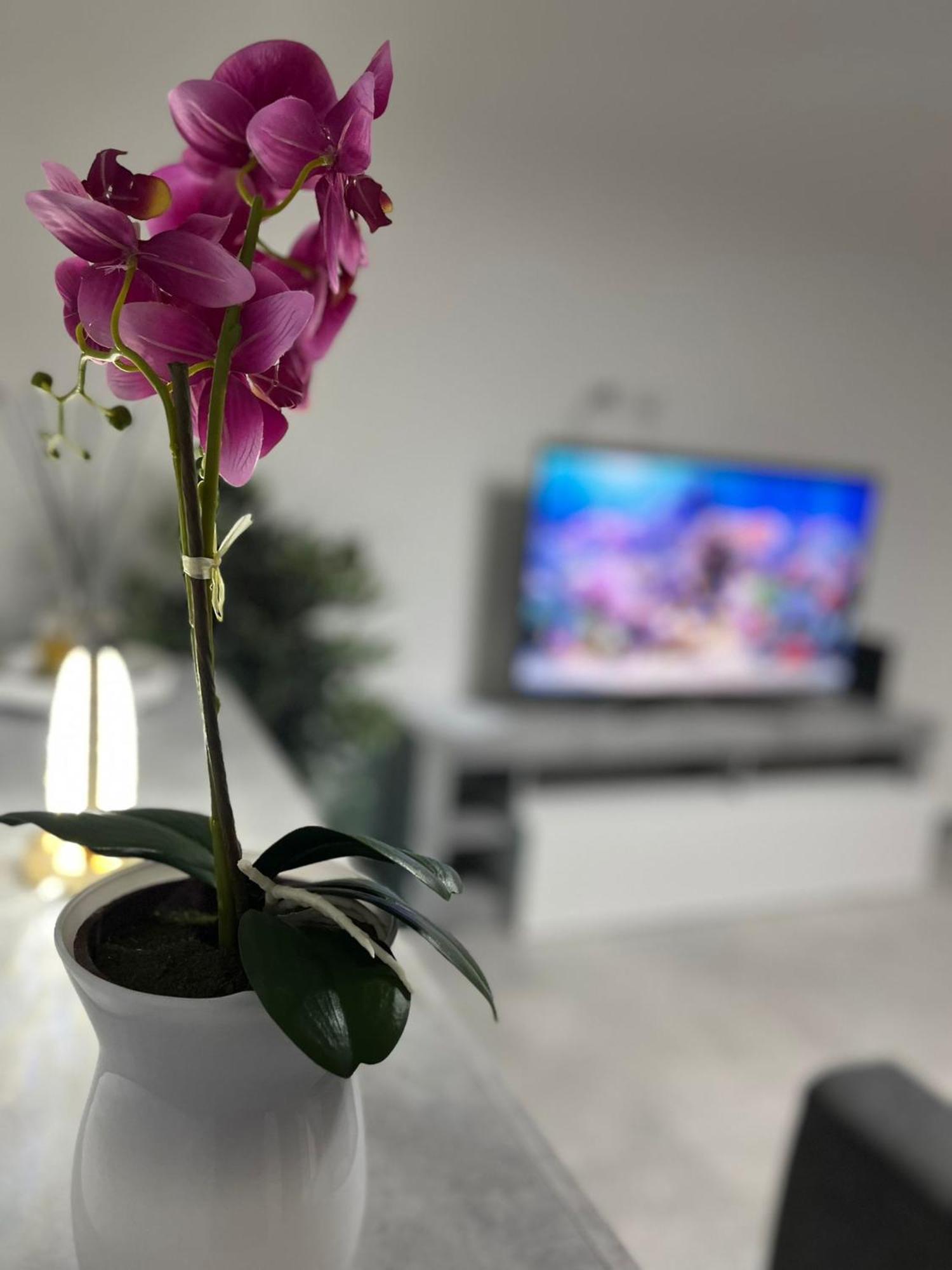 Goodbye Moon Apartment Бриндизи Экстерьер фото